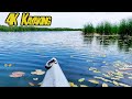 A Very Breezy Kayaking Adventure