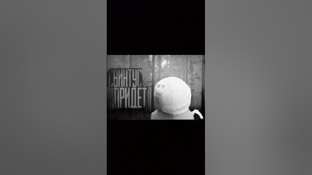 СВИНТУС ПРИДЕТ... - YouTube