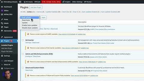 How To Disable Auto Update Plugins In WordPress (FAST Way)