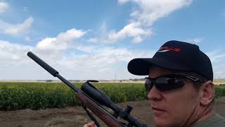 The COMODOR&#39;S guide the hunting nachos (no animals were injured in the making of this video)
