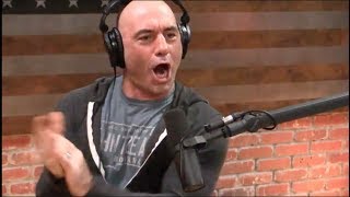 Joe Rogan on Liberal Stereotypes