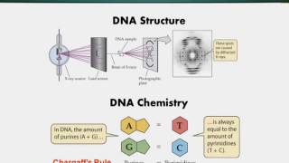 Topic 64 (BIO201 - Cell Biology)