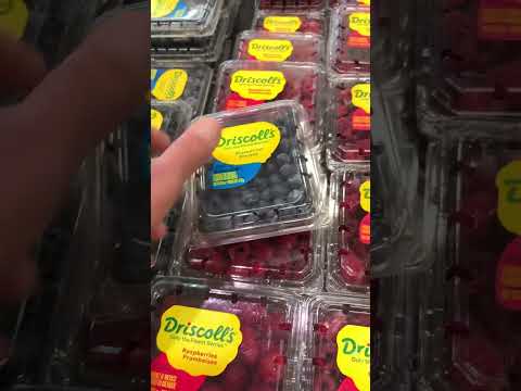 What kind of blueberries are sold in Canada and the US? June 6, 2024.