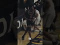 Tyran Stokes vs Alemany 🔥