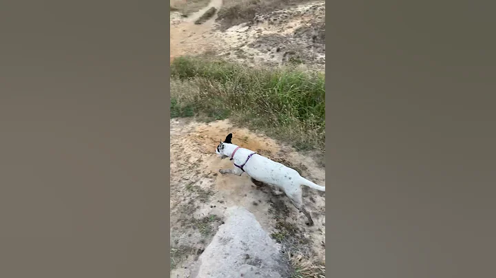 Creek Hopping