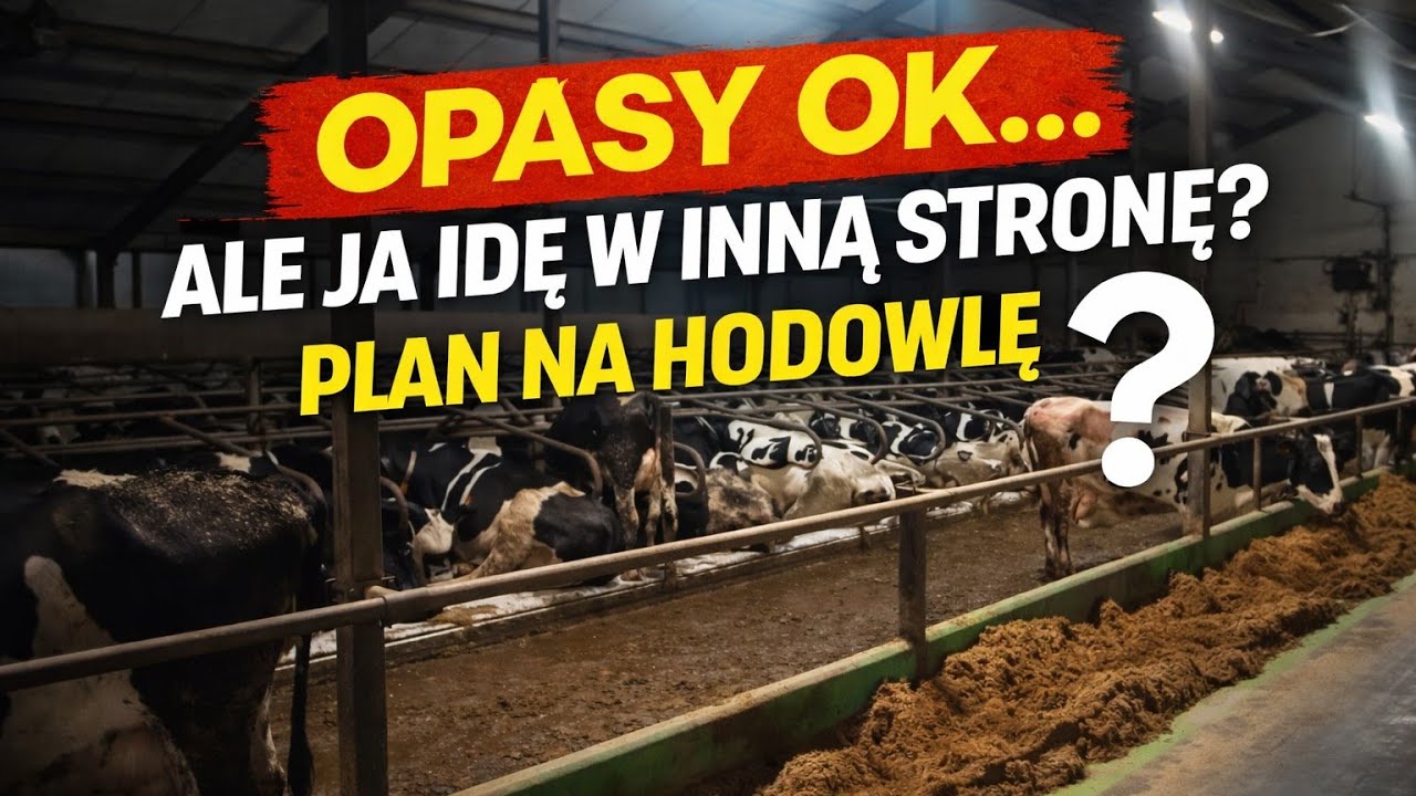 Opasy OK… ale ja idę w inną stronę? Plan na hodowlę