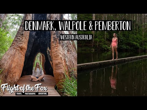 DENMARK, WALPOLE & PEMBERTON | How to Get Lost in WA Ep. 5 - Margaret River Road Trip