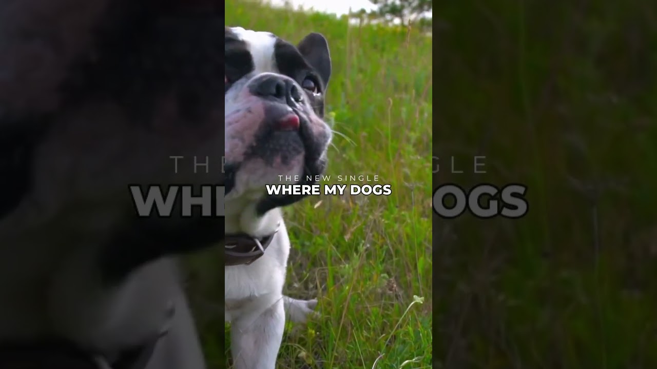 You know you love it. 🦴 