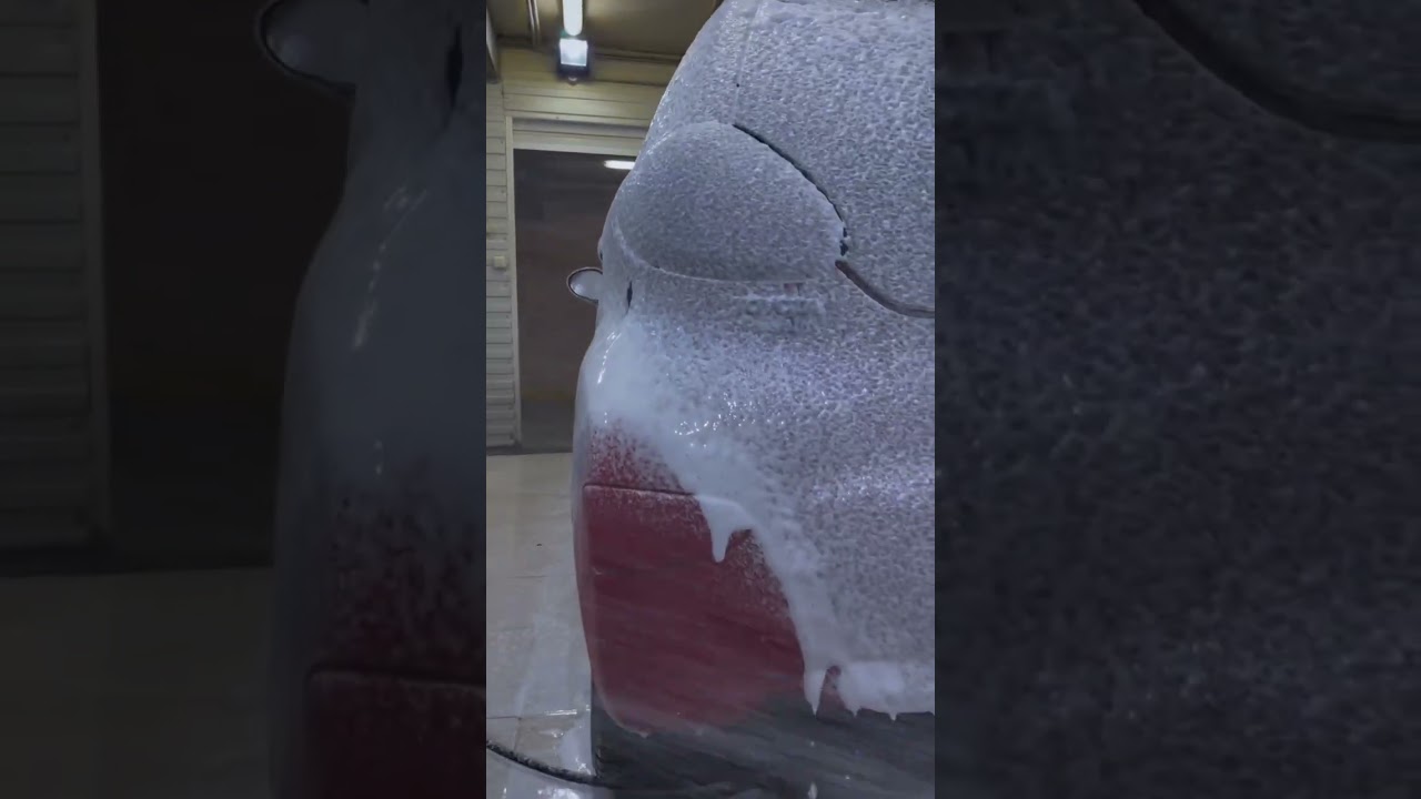 Shima Detailer "King of Wax"