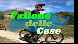 Vallone delle Cese - trail CESE (Negative split)