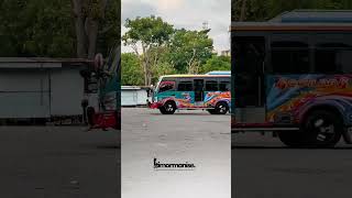 Download Lagu Bus Sinar Gemilang (Non Tiket) #yuvennitano #timormanise #busmania #youtuberabal2 MP3 Download Lagu Bus Sinar Gemilang (Non Tiket) #yuvennitano #timormanise #busmania #youtuberabal2 MP3
