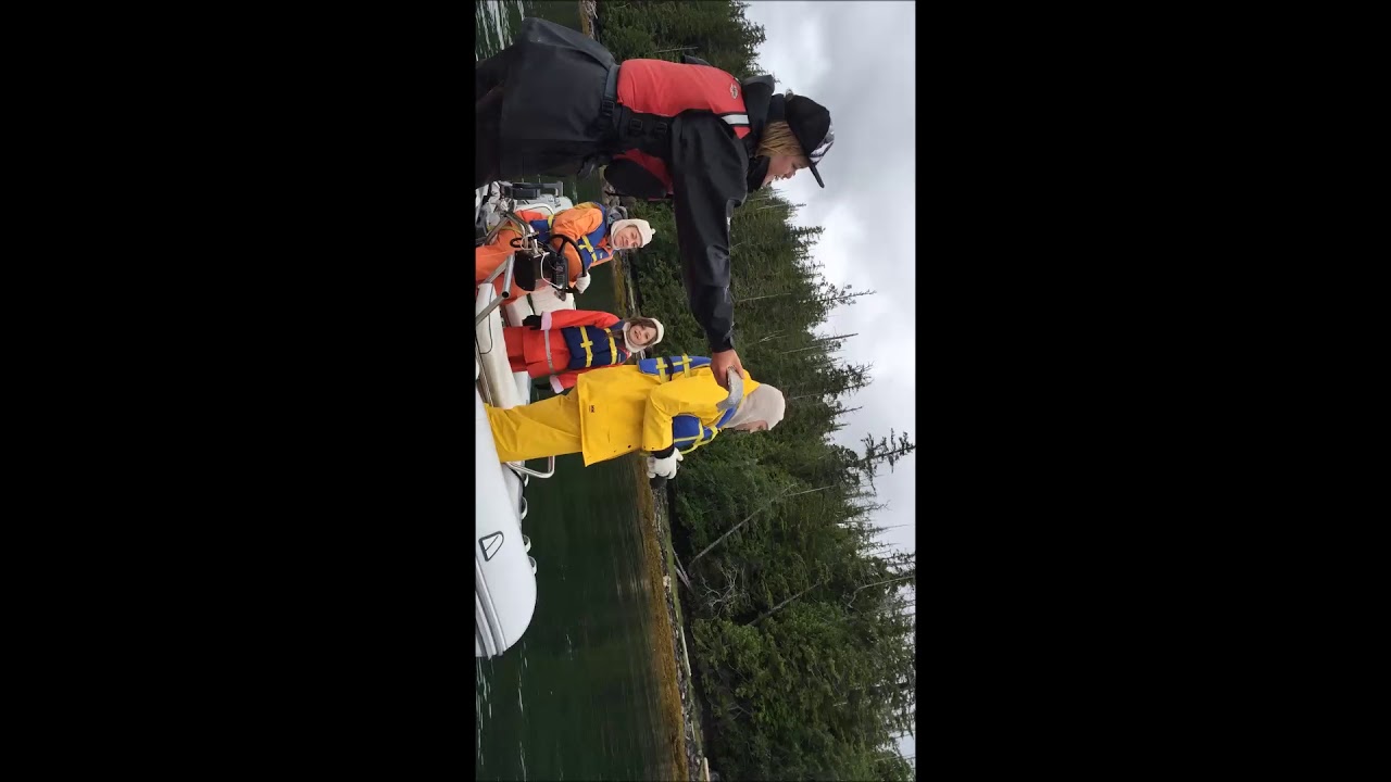 Zodiac Expedition Ketchikan Eagle Swooping YouTube