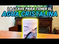 ¡LA CLAVE DEL AGUA CRISTALINA! EXPLICACIÓN DEL FILTRO QUE USO