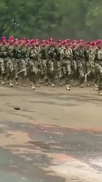 story wa tni 30 detik 🤩#shorts