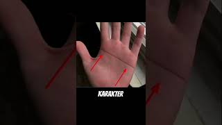 Arti Garis tangan Lurus