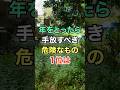 ㊗️60万再生🎊年をとったら手放すべき危険なもの #知恵 #名言 #開運 #雑学 #シニア