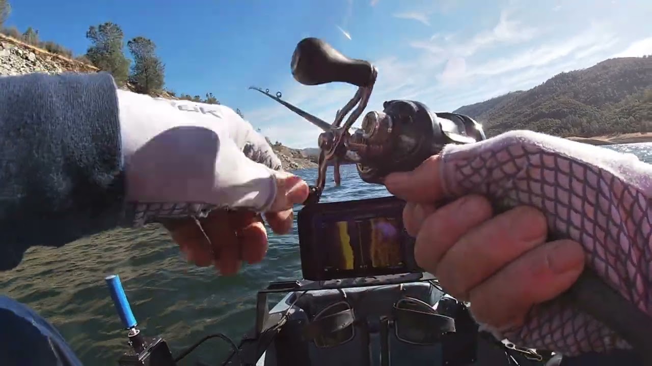 Bass Fishing Lake Don Pedro California 11 16 2024