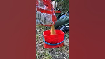 Tuyệt chiêu dùng mồi nhử câu cá Diếc #ryby #shortsvideo #nghebien | Fishing