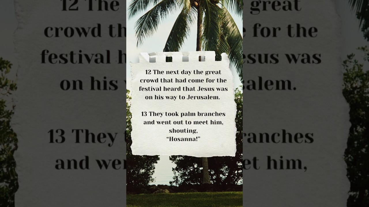 John 12:12-15 🙌🏼🤍 #christianpodcast #podcastclips #palmsunday #jesus #dailyprayer