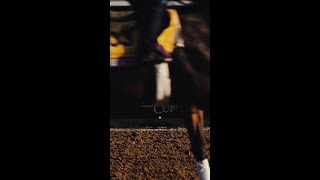 Breeders’ Cup 2025 at Del Mar