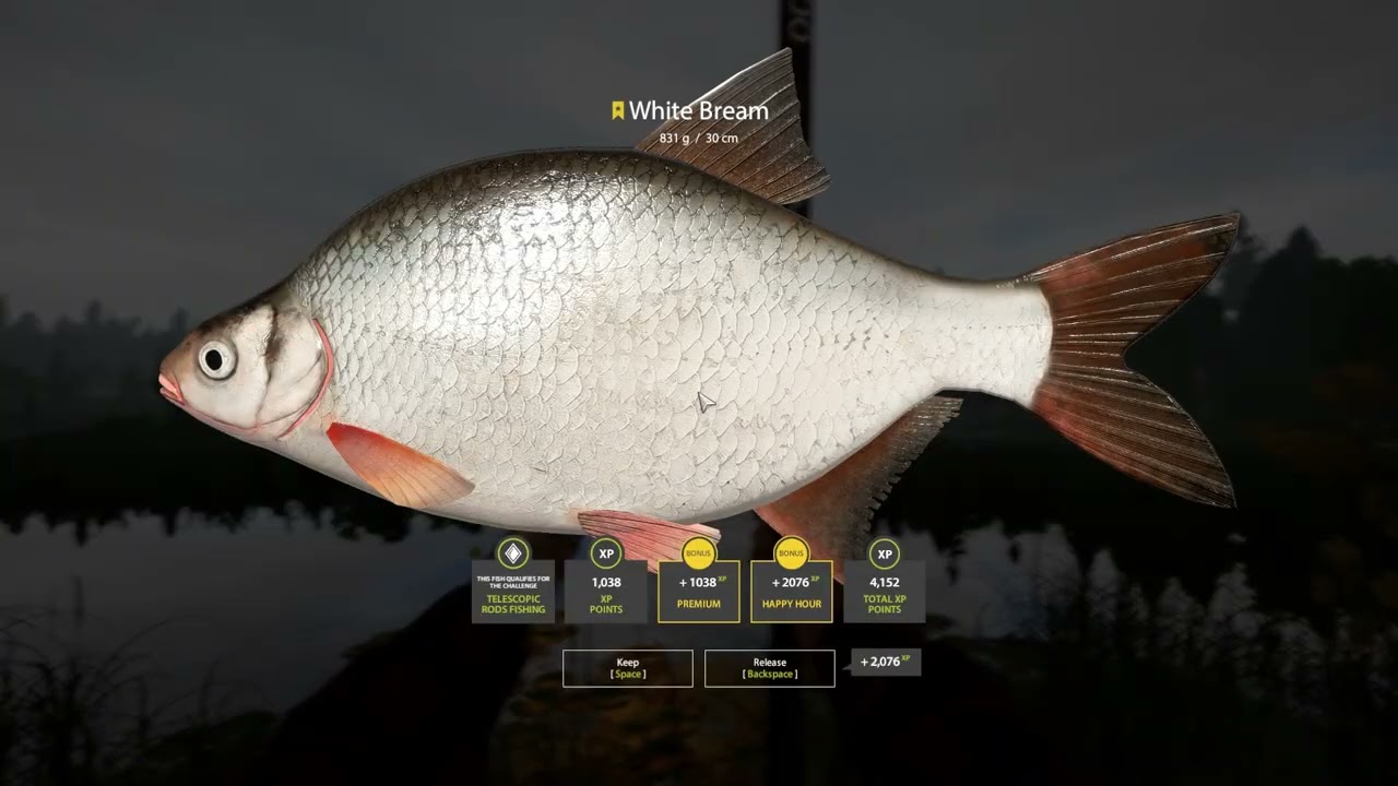 Old Burg Lake White Bream Trophy