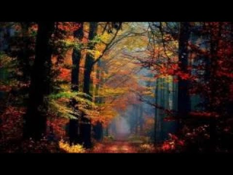 Pachelbel in the Garden (relaxing music, sounds of nature) 