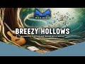 Breezy hollows  strings of serenity enchanting acoustic guitar instrumentals  musifine