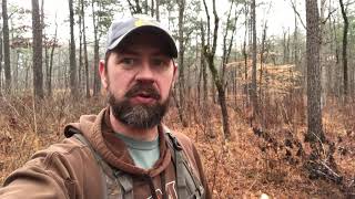 Georgia Public Land Deer Bedding Areas
