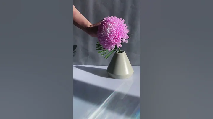 兩個小花藝，你更喜歡哪一個？ - 天天要聞