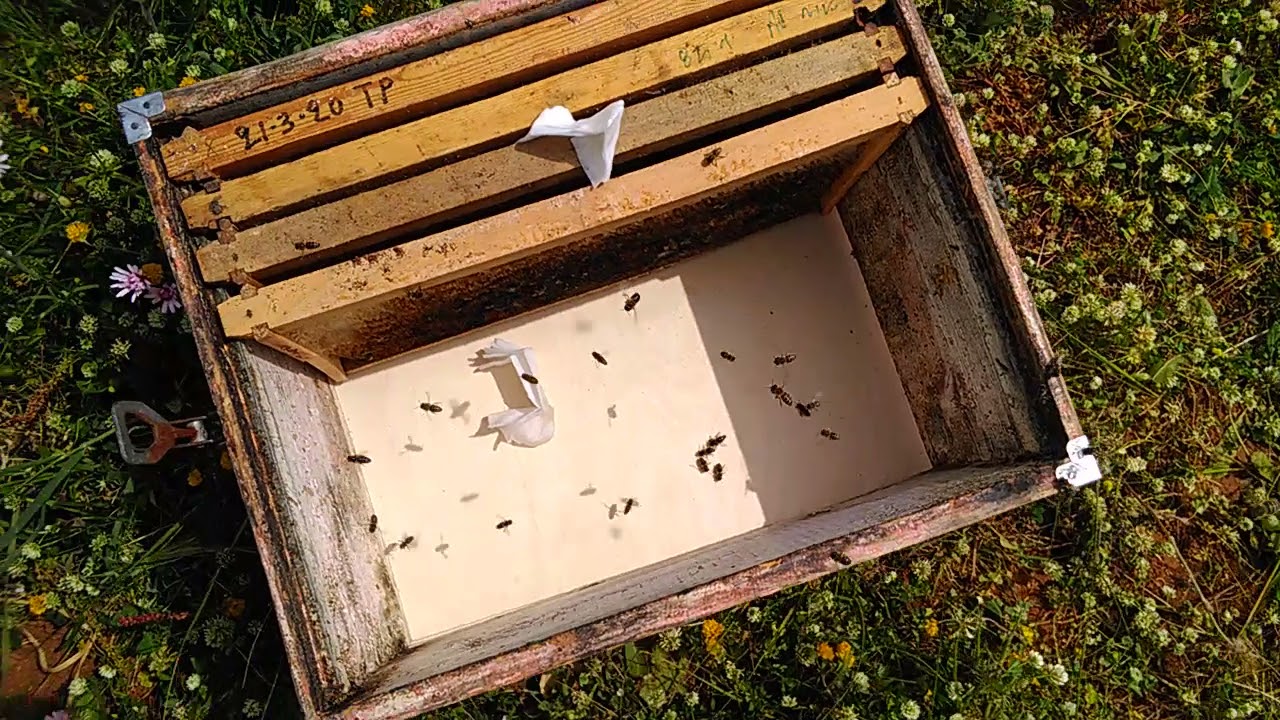 Μελισσοκομία στη Μάνη...