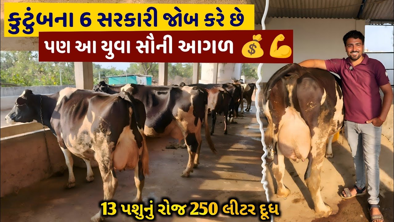 👉 13 પશુઓથી રોજ ₹10,000 કમાણી 😱, ✅ 13 Animals = ₹10K Daily 😱