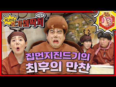 집 곳곳에 숨어있는 집먼지진드기🪳ㅣ최고다! 호기심 딱지ㅣ집먼지진드기의 최후의 만찬