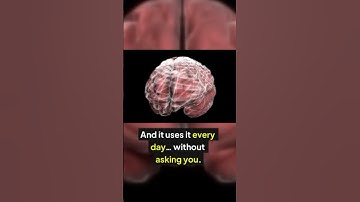 The Brain’s Hidden Delete Button 😱 #shorts #facts #brain