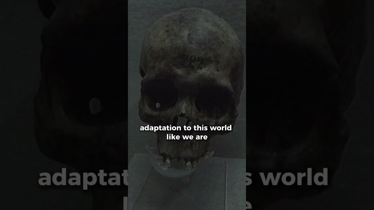 Non-human species discovered in African caves! 