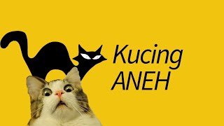 10 Jenis Kucing Paling Aneh & Langka—ALIEN!! by MeowCitizen 41,542 views 4 years ago 6 minutes, 1 second