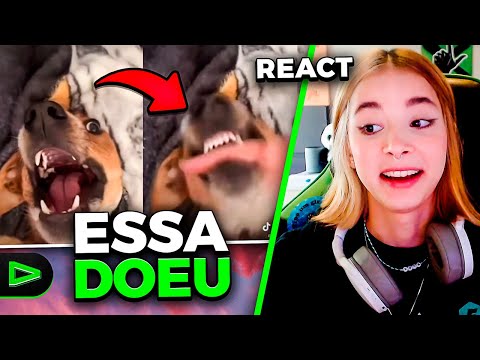 LOUD THAIGA REAGINDO AOS VÍDEOS DO TIKTOK DE COMÉDIA! TENTE NÃO RIR!