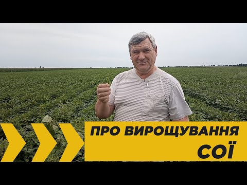 Вирощування сої: переваги
