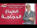 لغة عربية سادسة ابتدائي 2019 | الطماع والدجاجة | تيرم1 - وح2 - در3 | الاسكوله