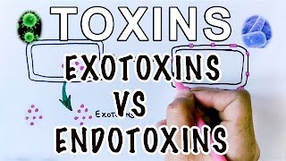 Overview of Toxins | Exotoxins Vs Endotoxins
