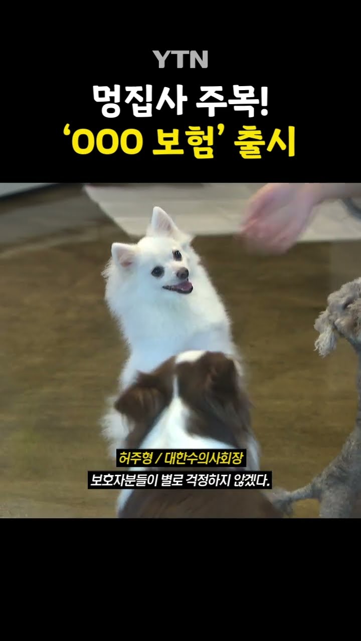 '펫 보험' 비싸다고? #shorts / YTN