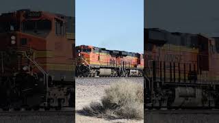TRAIN SHORTS #00894 / WB BNSF 4069 NEWBERRY RD 1-10-2026 #cassscenicrailroad #train #automobile