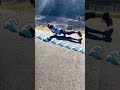 Pump Track Fail Compilation ☠️🤣 #shorts #surfskate #fail #failcompilation #falls #flop #epicfail