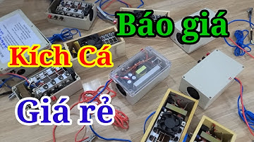 Báo giá Kích cá giá rẻ