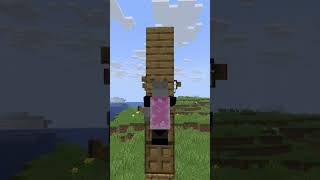 The Best Hidden Trick In The Game シ