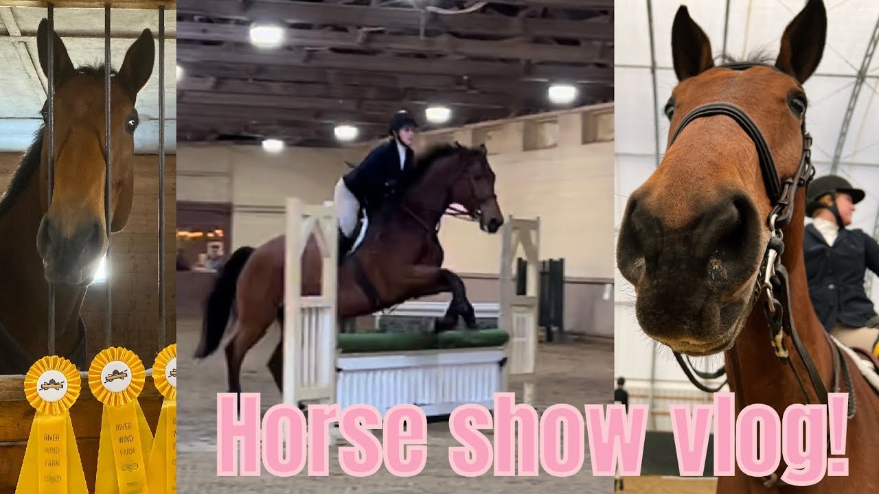 Horse show vlog || schooling show!