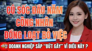 Công Nhân Đồng Loạt Bỏ Việc Sau Tết 2026:  Doanh Nghiệp Đứng Trước Nguy Cơ Đứt Gãy