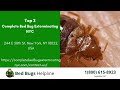 Top 3 Bed Bug Removal Companies in Champaign