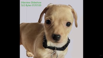 Slideshow Created with Irfanview