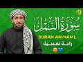 سورة النمل   كاملة     تلاوة هادئة راحة للقلب   والعقل صوت من السماء وراحة نفسية القارئ محمد الفقيه نجومي