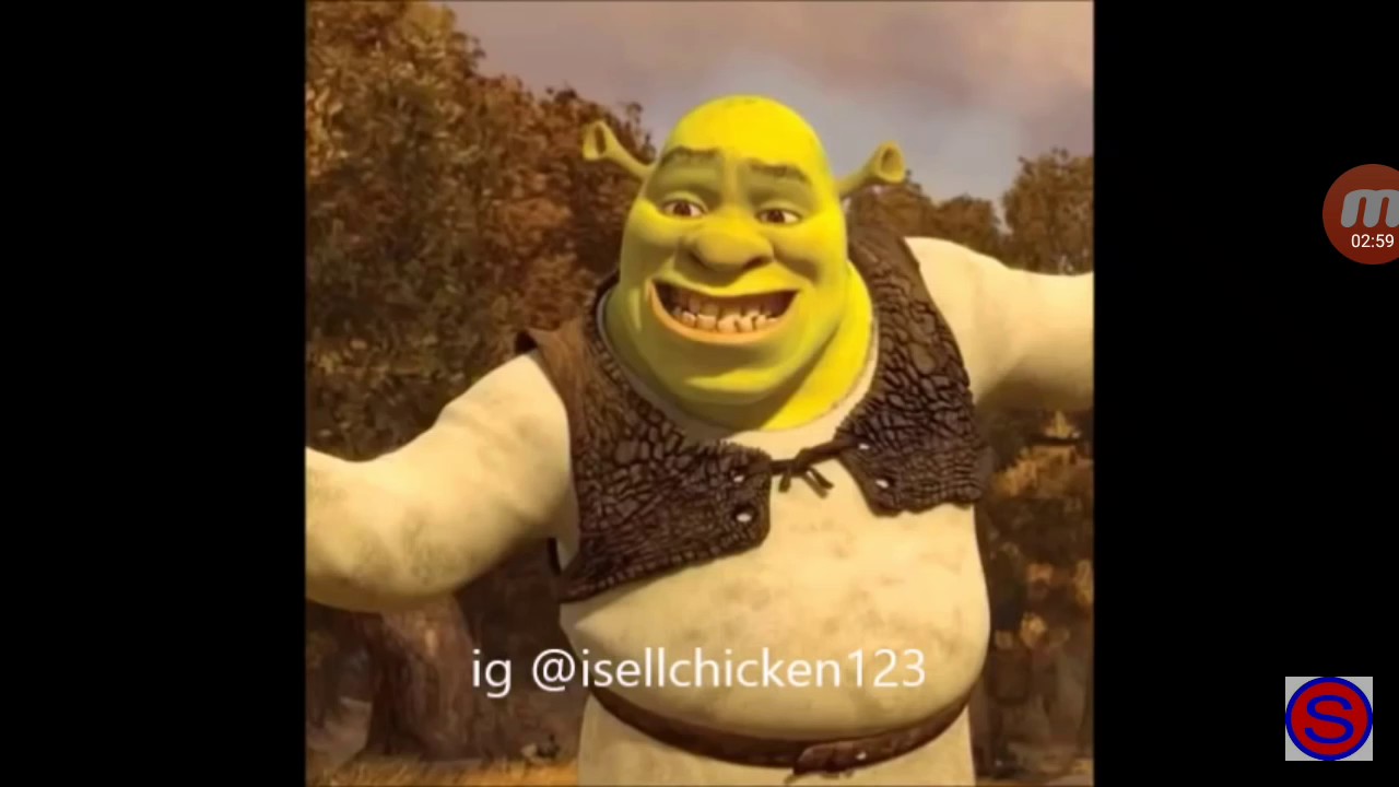 Dank 1080x1080 Shrek Memes